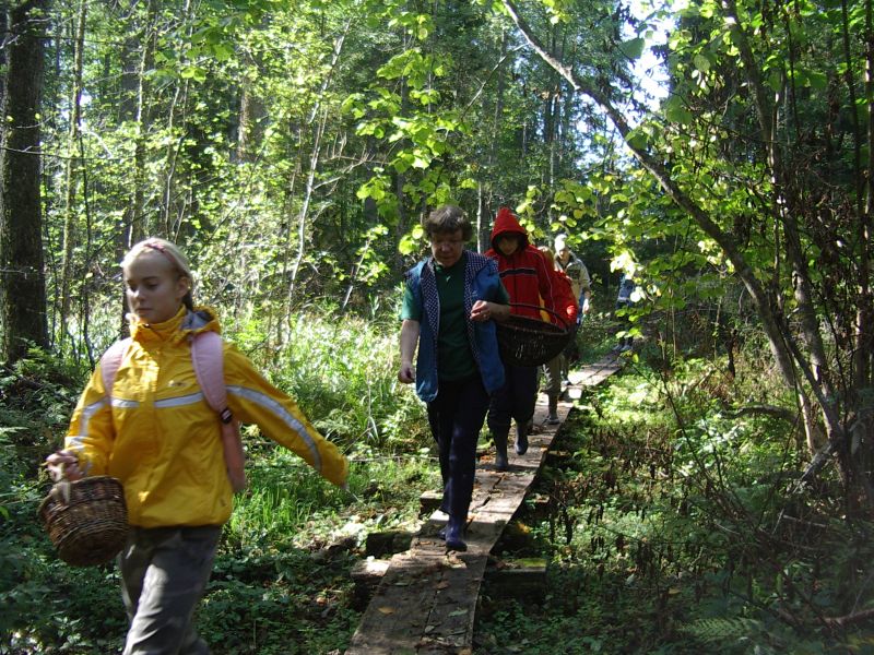 seeneprax0910_J2rvselja009.jpg