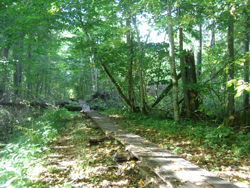 seeneprax0910_J2rvselja010.jpg