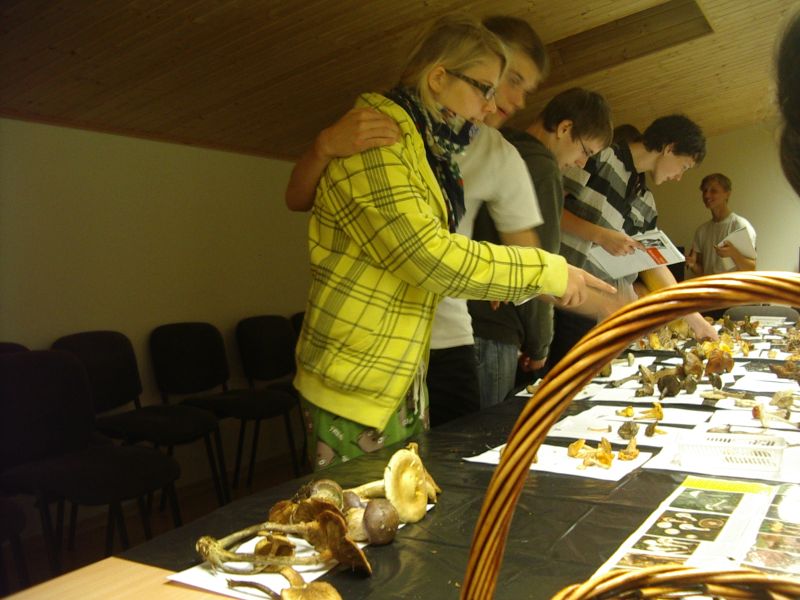 seeneprax0910_J2rvselja032.jpg