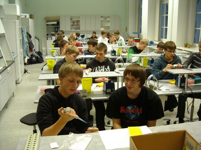 imgp3550.jpg