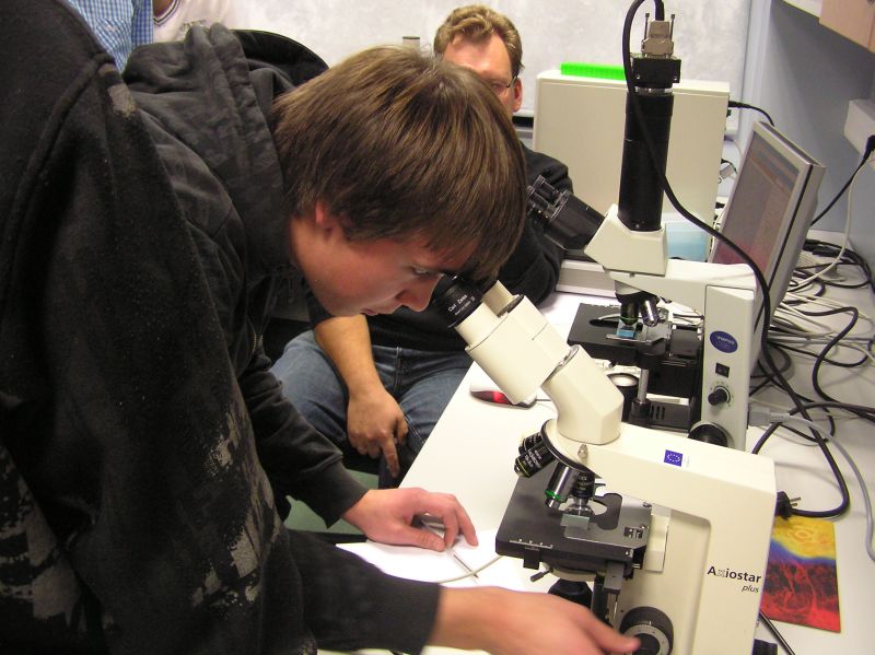 20102011embryoteh10c003.jpg