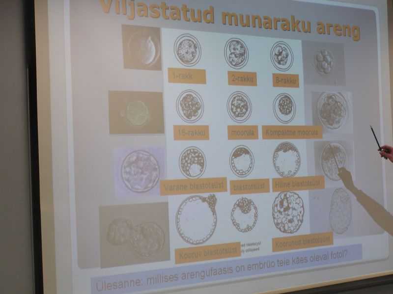 20102011embryoteh10c004.jpg