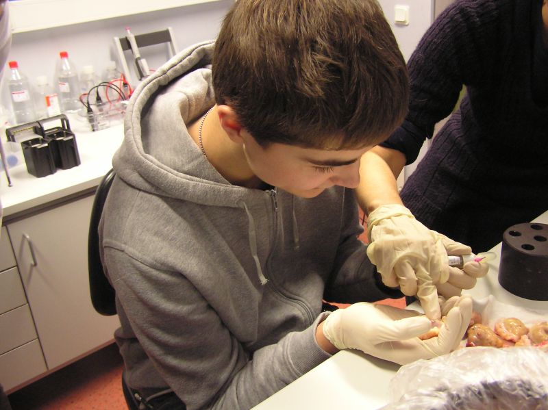 20102011embryoteh10c005.jpg