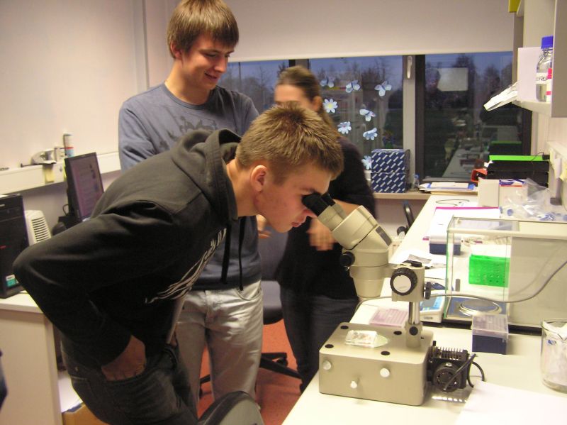 20102011embryoteh10c006.jpg