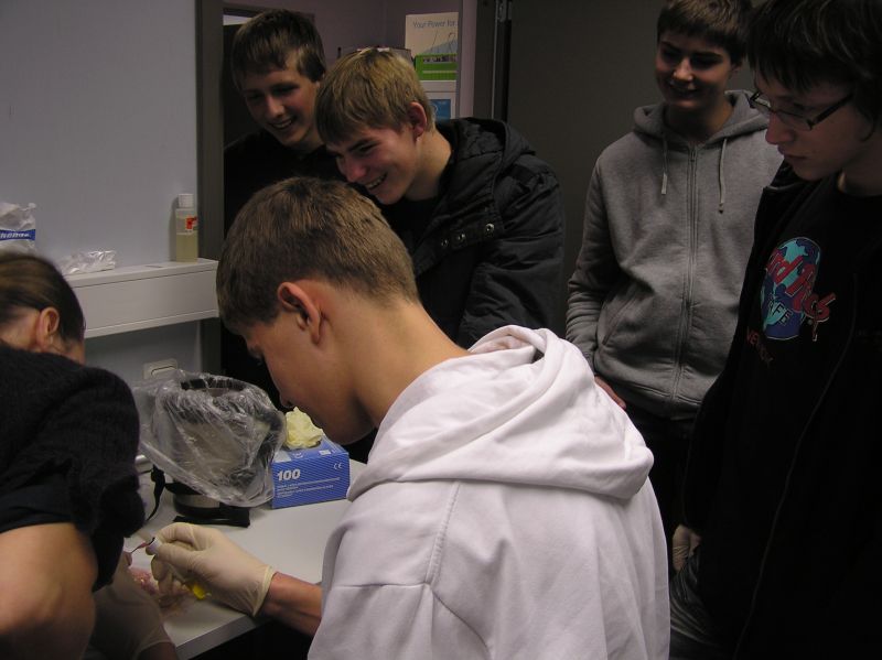 20102011embryoteh10c007.jpg