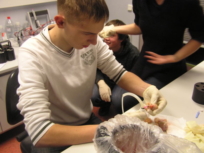 20102011embryoteh10c013.jpg