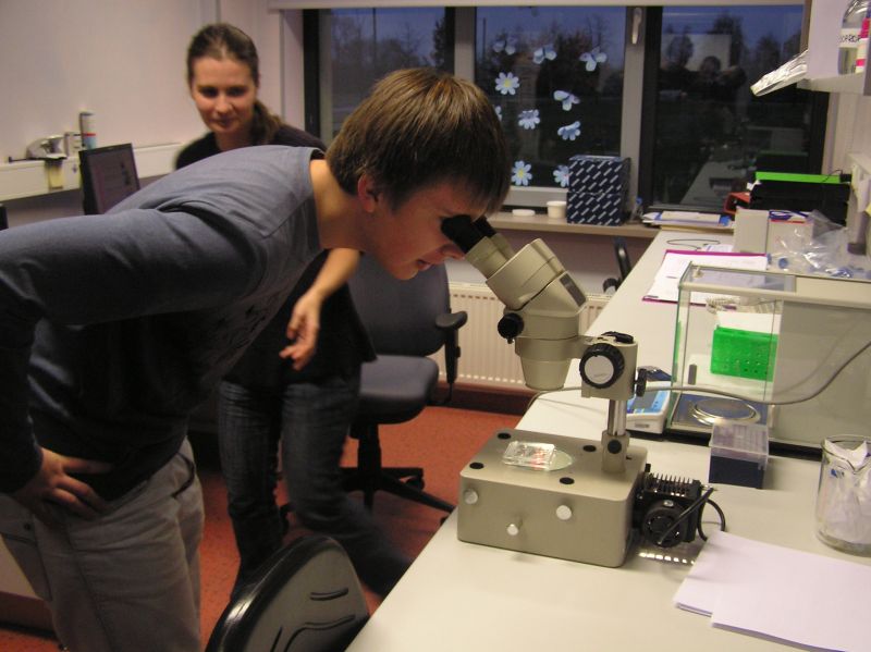 20102011embryoteh10c014.jpg
