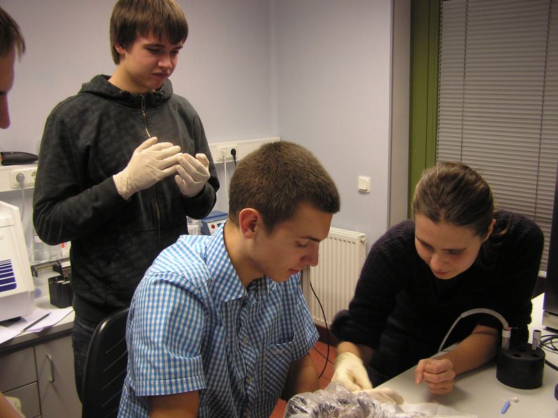 20102011embryoteh10c016.jpg