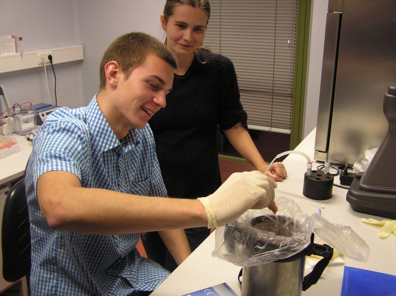 20102011embryoteh10c018.jpg