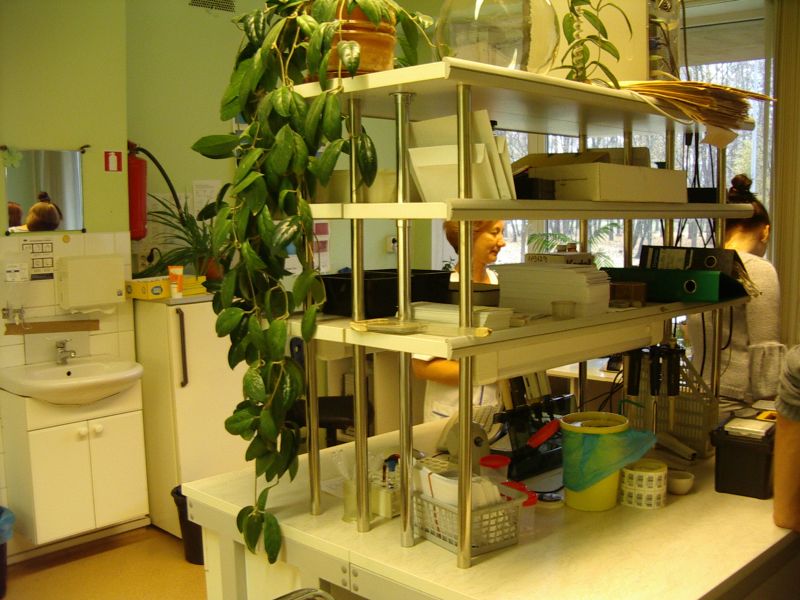 20102011medTHKK007.jpg