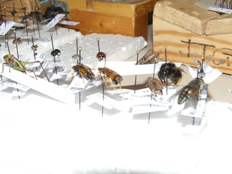 DSCF5162.JPG