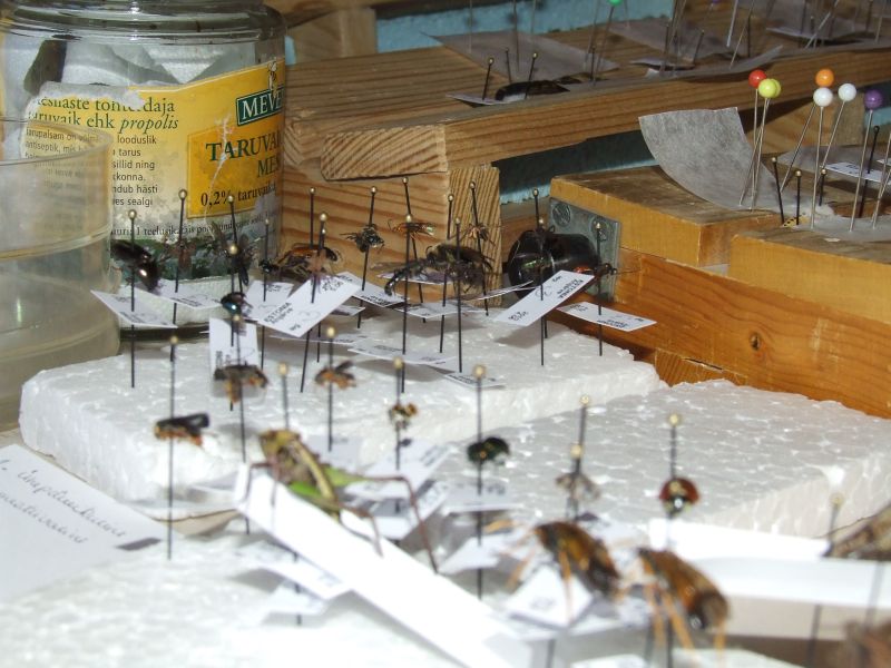 DSCF5163.JPG