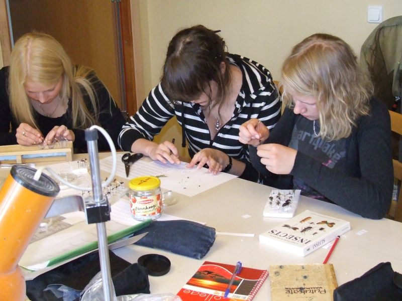 DSCF5174.JPG