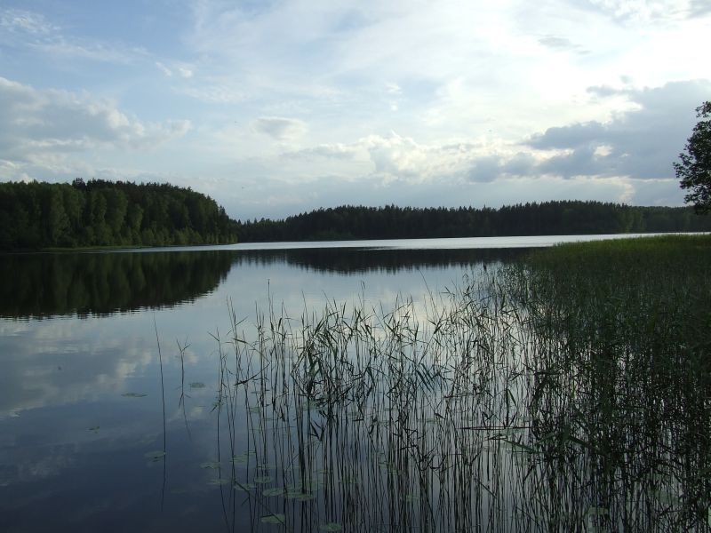 DSCF5188.JPG