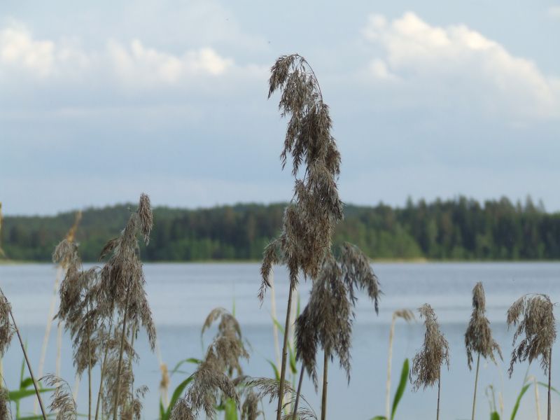 DSCF5194.JPG