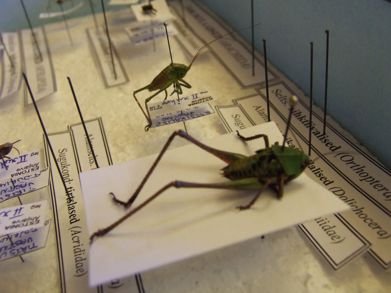 DSCF5260.JPG