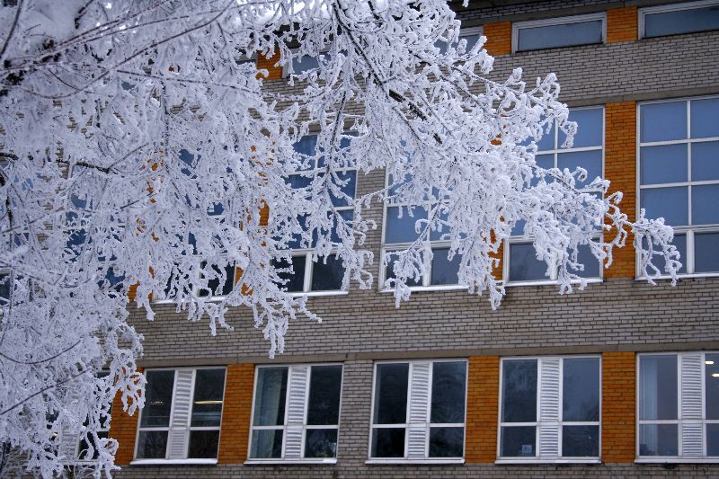 _MG_7581.jpg