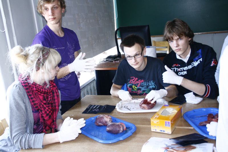 _MG_8230.jpg