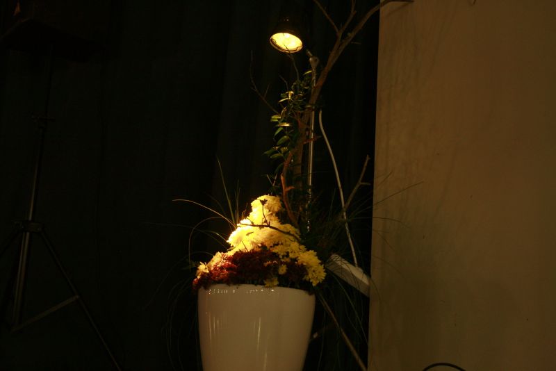 ball-0901.jpg