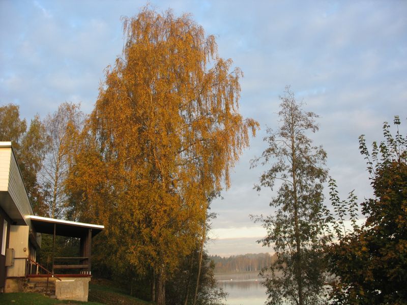 10b-060.jpg