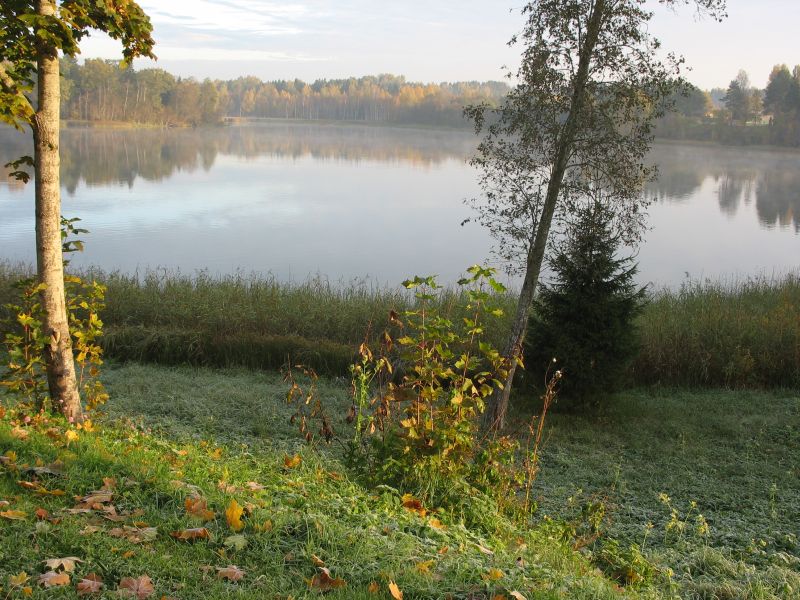 10b-062.jpg