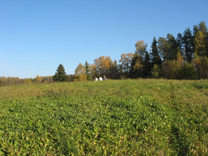 10b-089.jpg