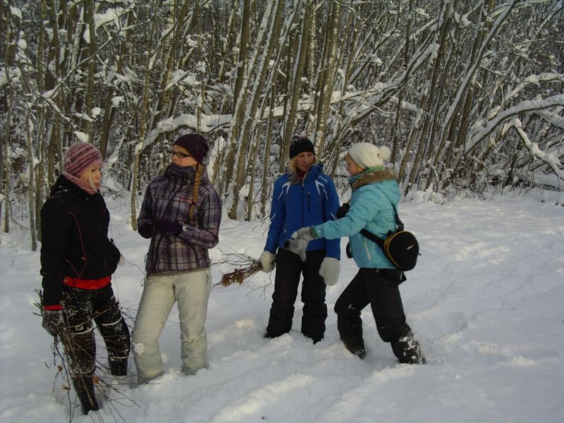 20102011pungaKirna010.jpg