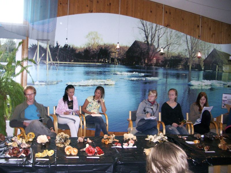 2010_10b6.JPG