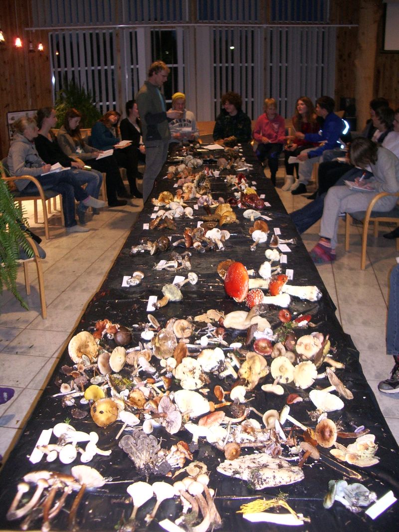 2010_10b7.JPG