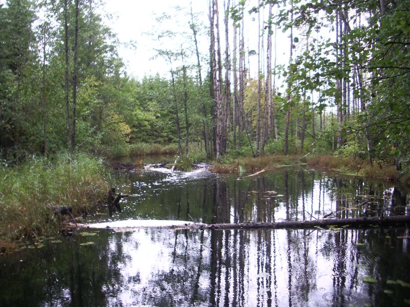 2010_10b8.JPG