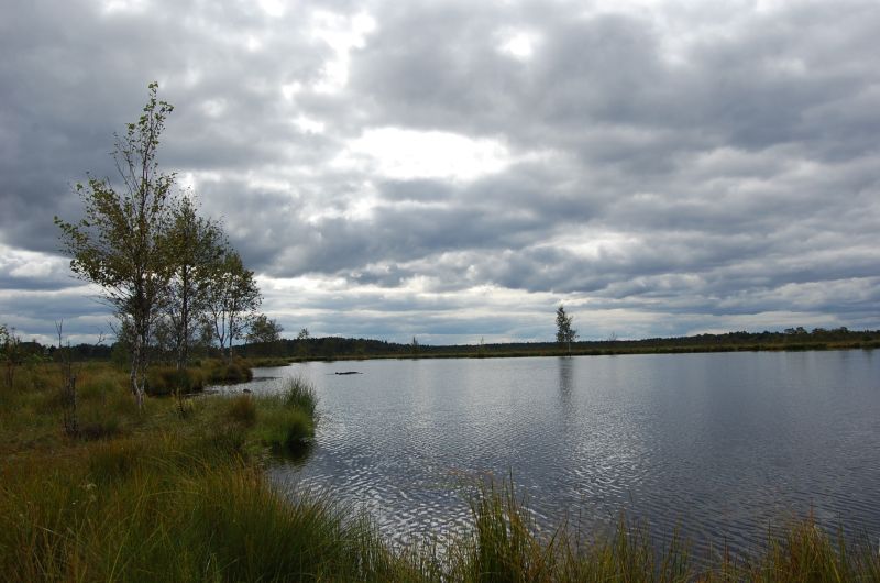 dsc_0085.jpg