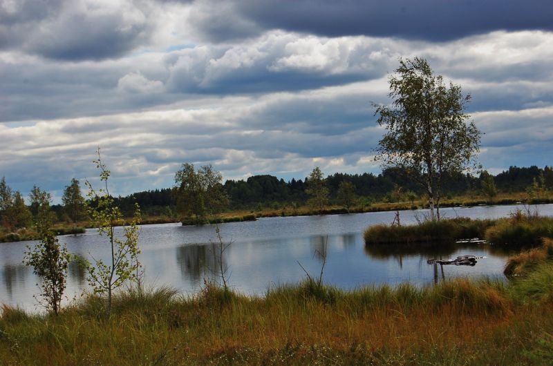 dsc_0095.jpg