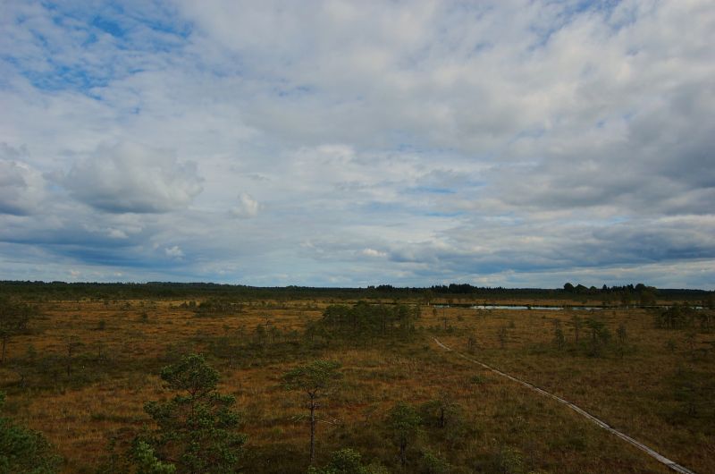 dsc_0132.jpg