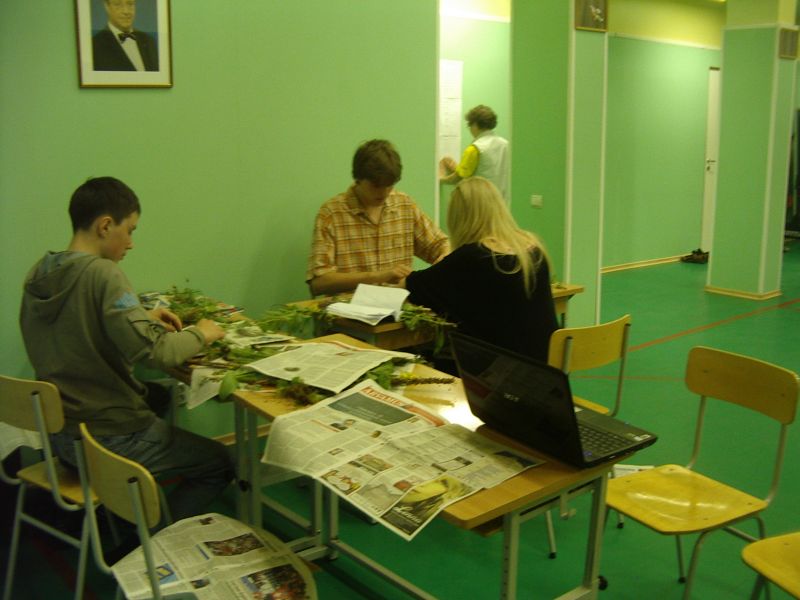 Botaanika0910Kihnu003.jpg