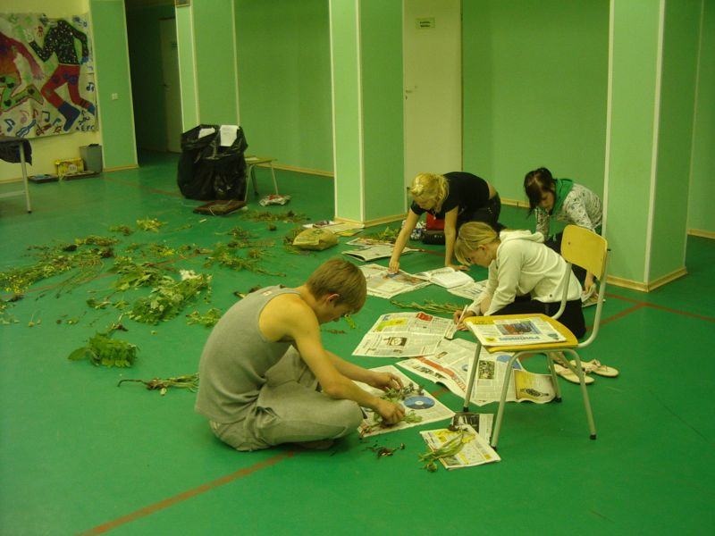 Botaanika0910Kihnu004.jpg