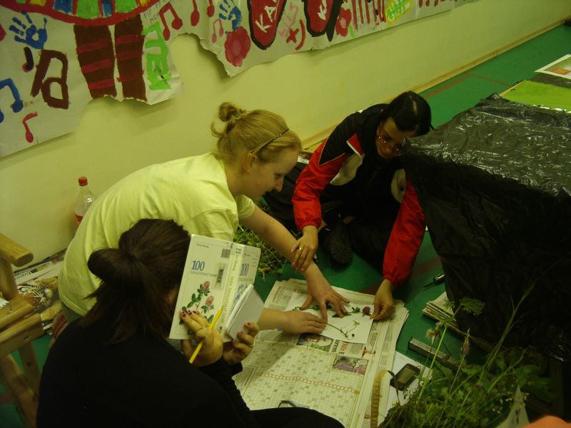 Botaanika0910Kihnu005.jpg