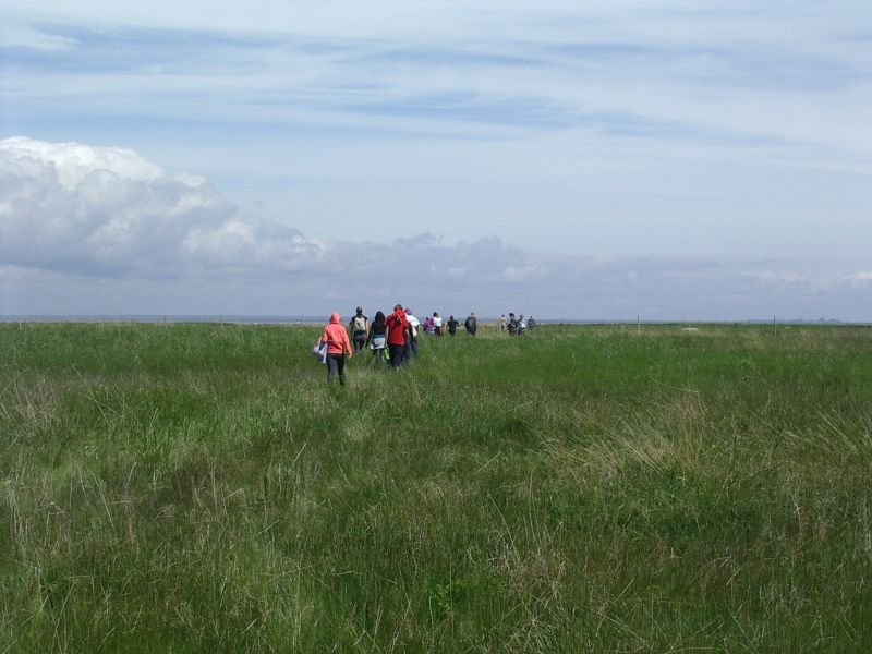 Botaanika0910Kihnu011.jpg