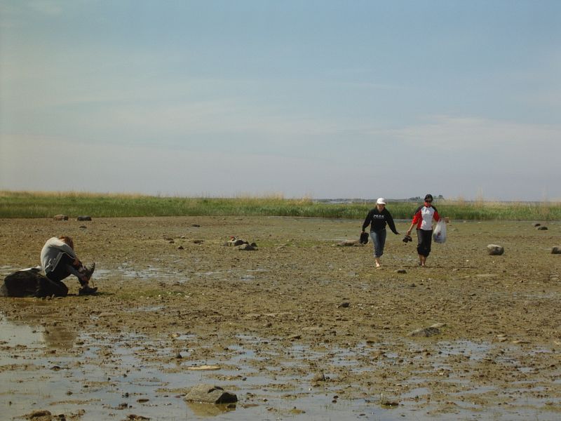 Botaanika0910Kihnu014.jpg