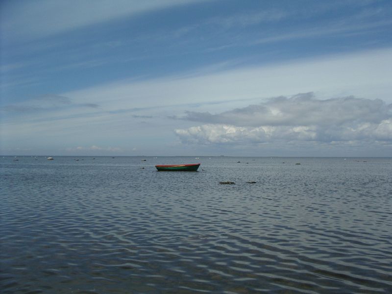 Botaanika0910Kihnu021.jpg