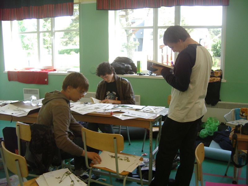 Botaanika0910Kihnu033.jpg