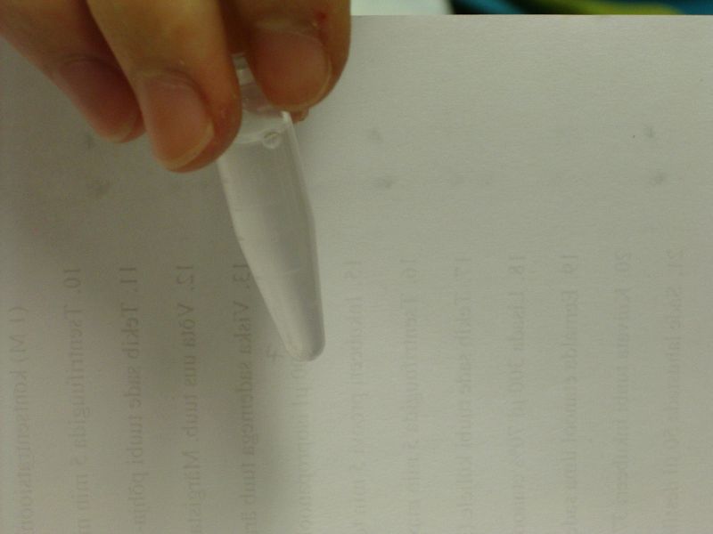 20112012_10cbioteh011.jpg