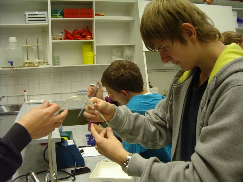 20112012_10cbioteh013.jpg