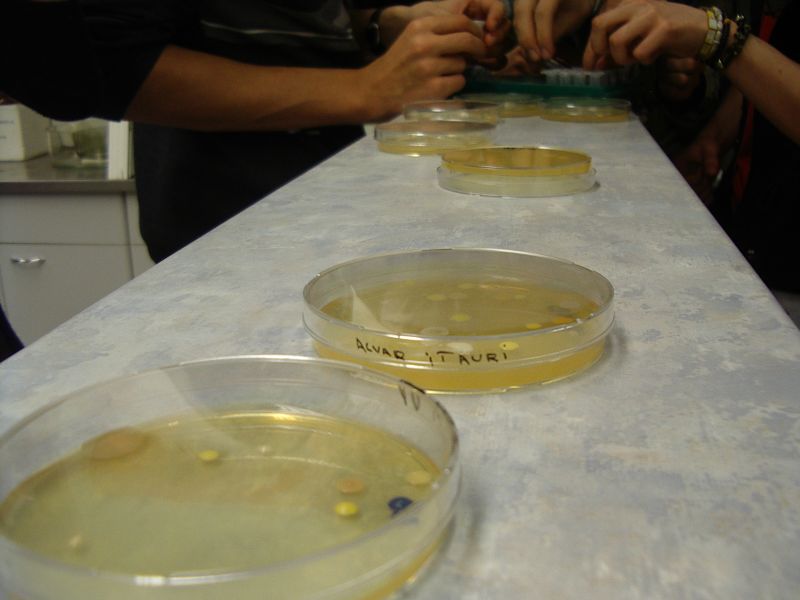 20112012_10cbioteh014.jpg