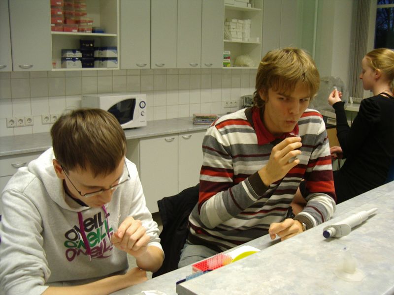 20112012_12bbioteh007.jpg