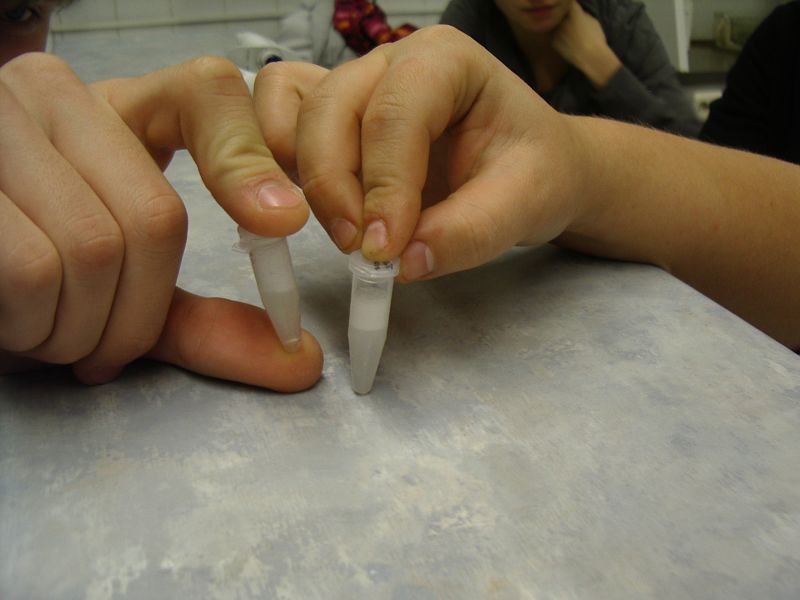 20112012_12bbioteh011.jpg