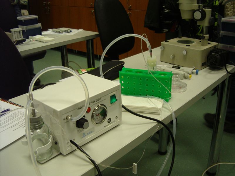20112012_10cembryoteh002.jpg