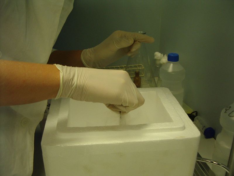 20112012_10cembryoteh009.jpg