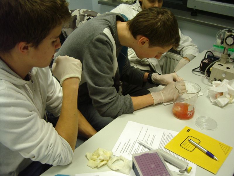 20112012_10cembryoteh011.jpg