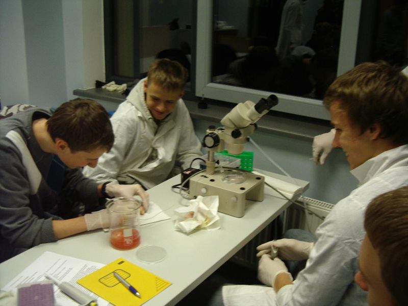 20112012_10cembryoteh012.jpg