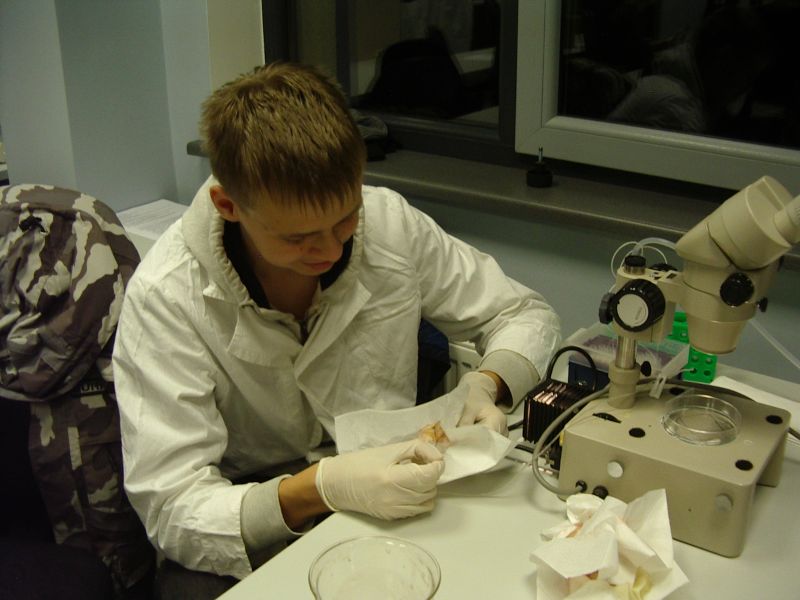 20112012_10cembryoteh013.jpg